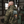 The Tropic Camo Limited Edition Hoodie
